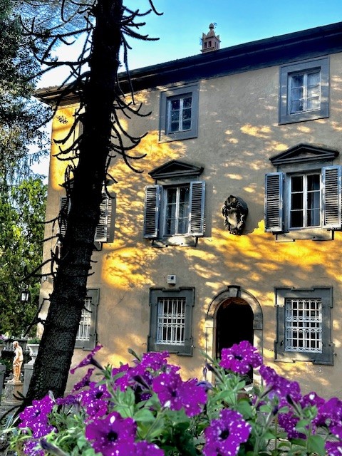Host Your Retreat at Villa Amore Gallery